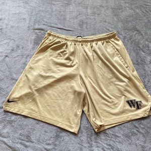 Nike Dri- Fit shorts with drawstring